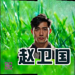赵卫国